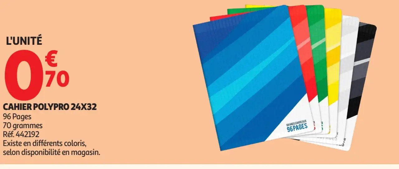 Cahier Polypro 24x32 96 pages