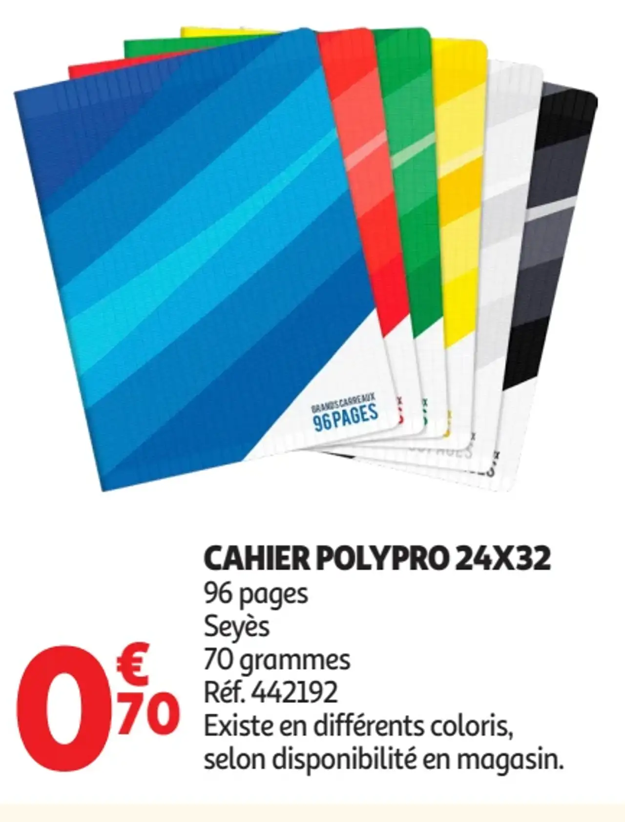 Cahier Polypro 24x32 96 pages Seyès 70 grammes