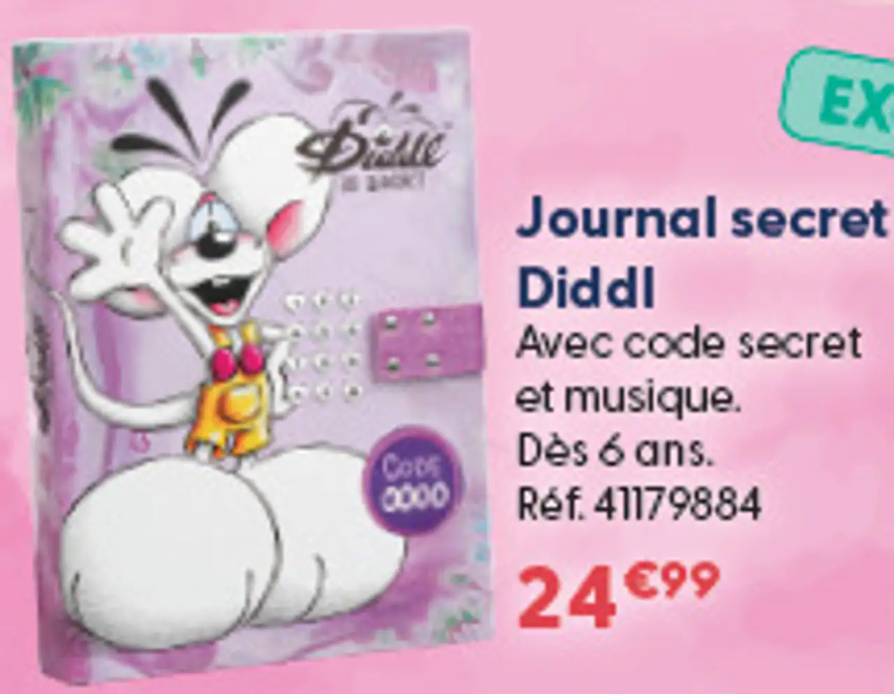 Journal secret Diddl