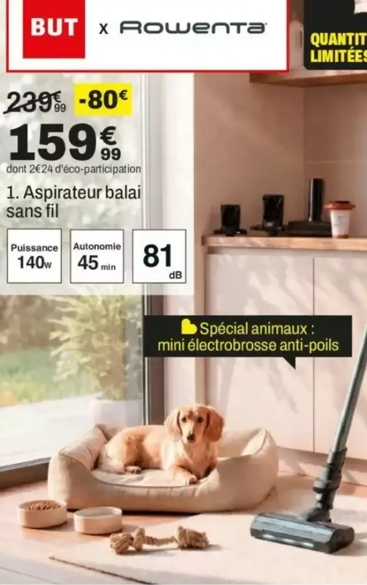 Aspirateur balai sans fil Rowenta RH6A75WO X-PERT 7.60