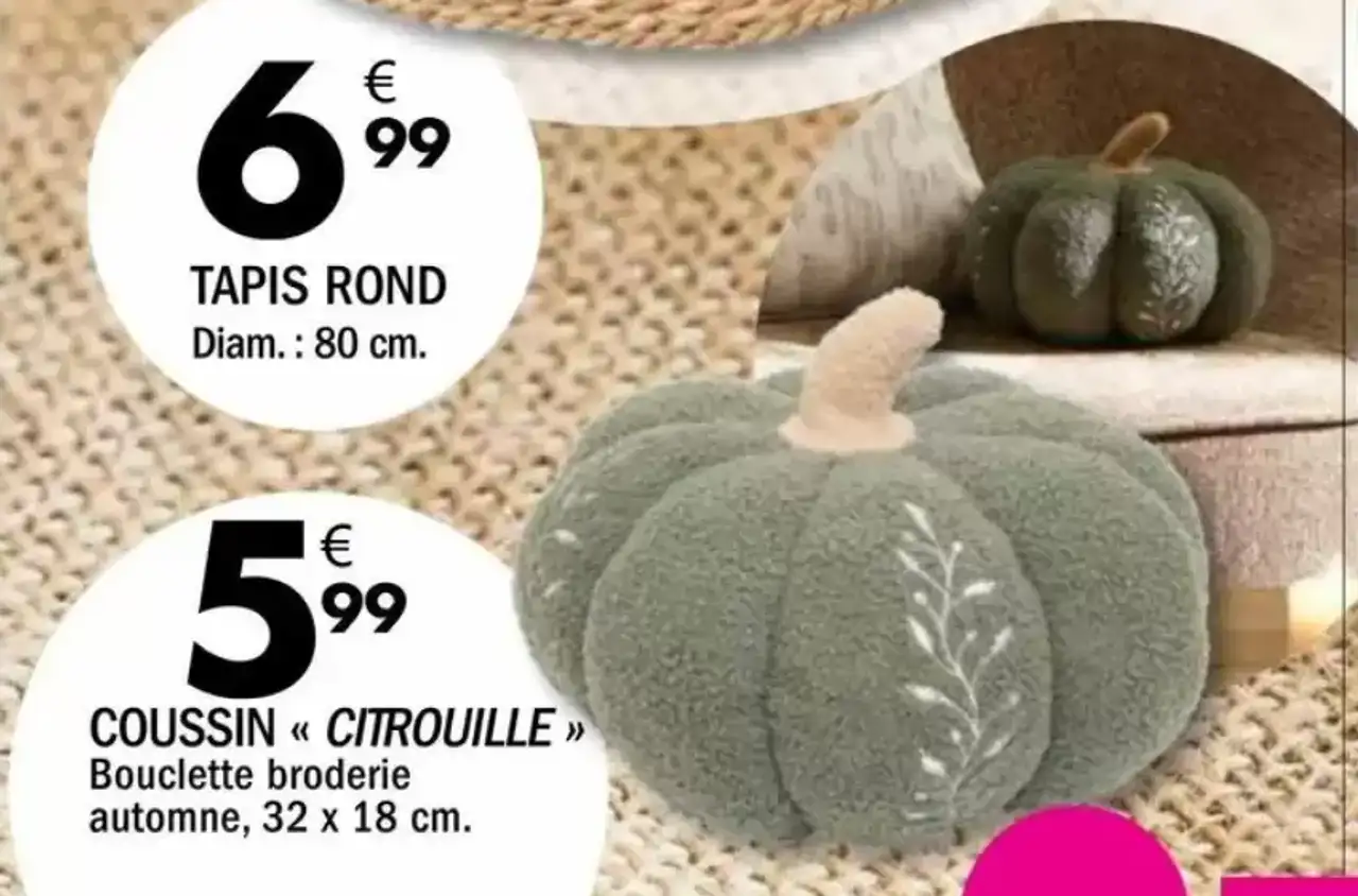 Coussin « Citrouille » Bouclette broderie automne