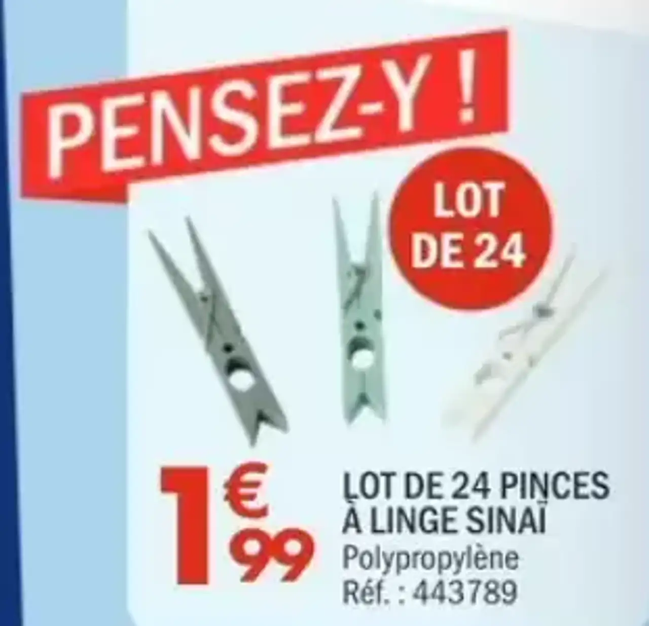 LOT DE 24 PINCES À LINGE SINAÏ Polypropylène