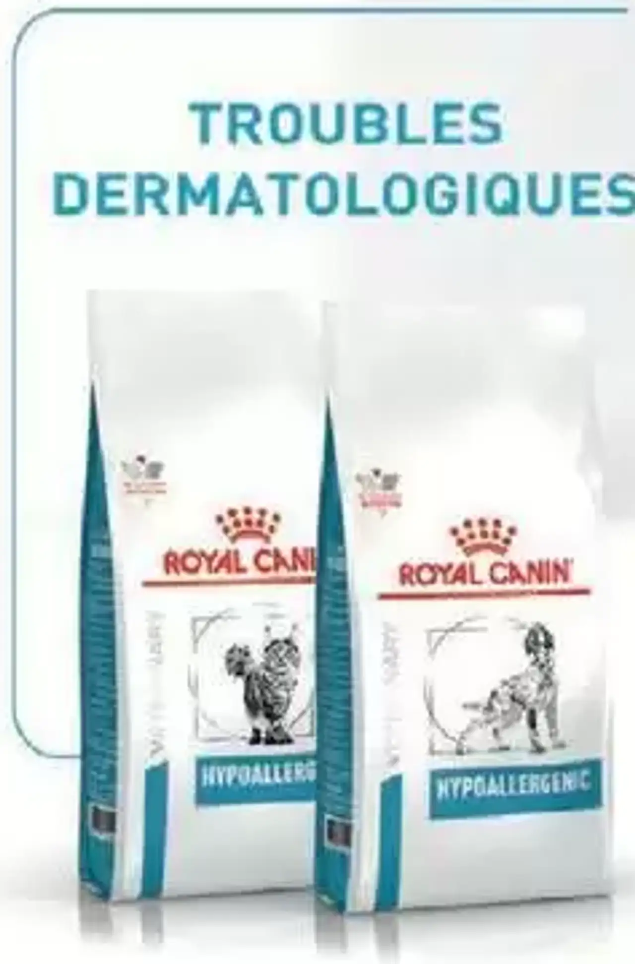 Aliments diététiques pour troubles dermatologiques Royal Canin Veterinary