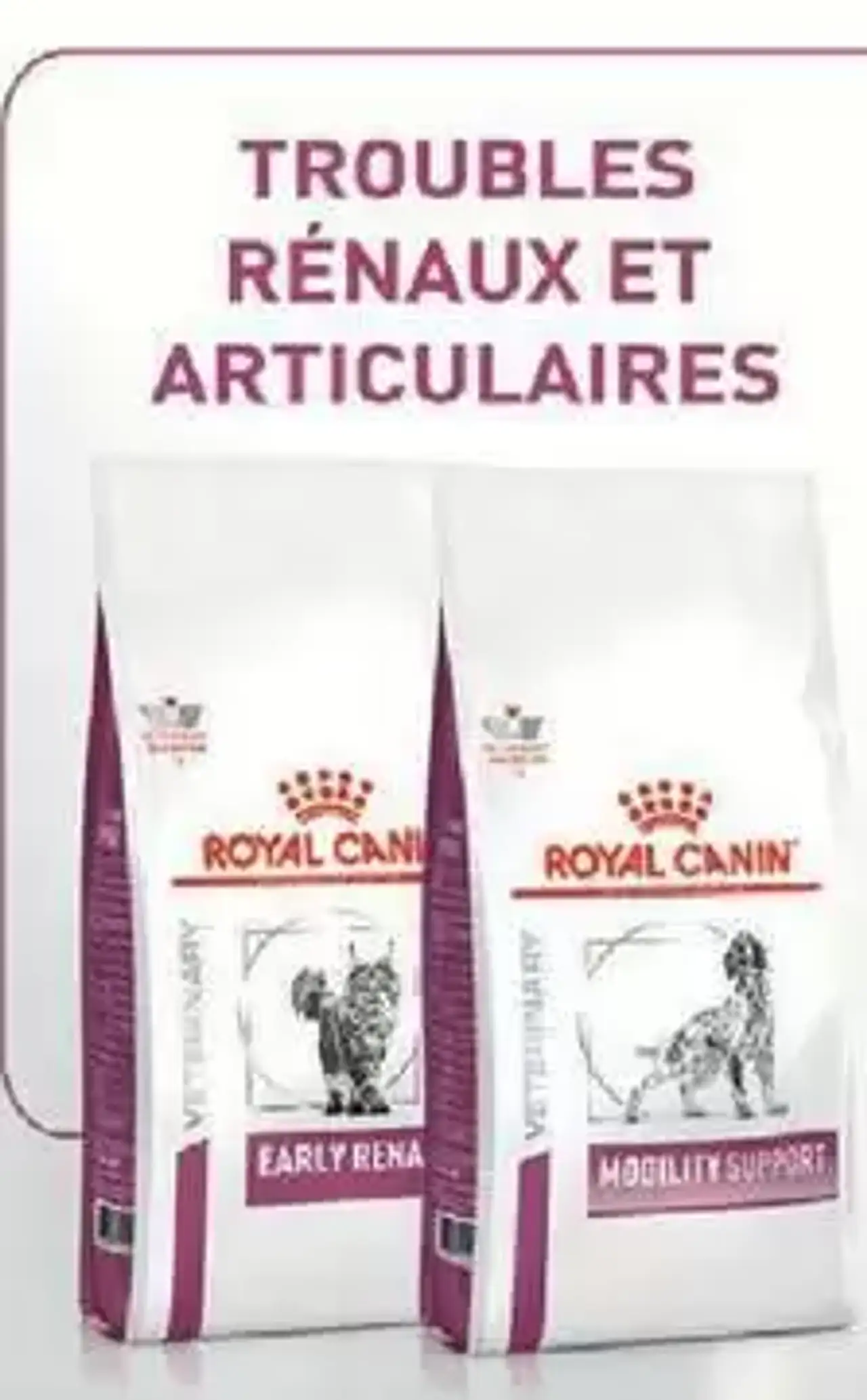 Aliments diététiques pour troubles rénaux et articulaires Royal Canin Veterinary