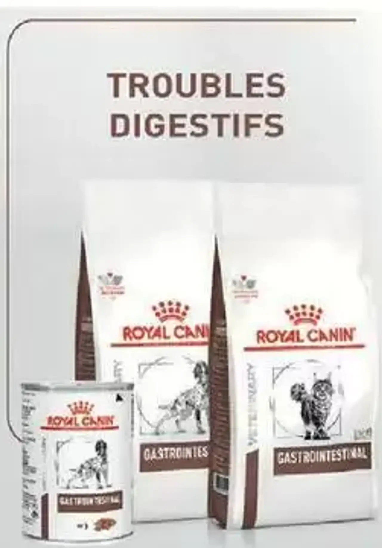 Aliments diététiques pour troubles digestifs Royal Canin Veterinary
