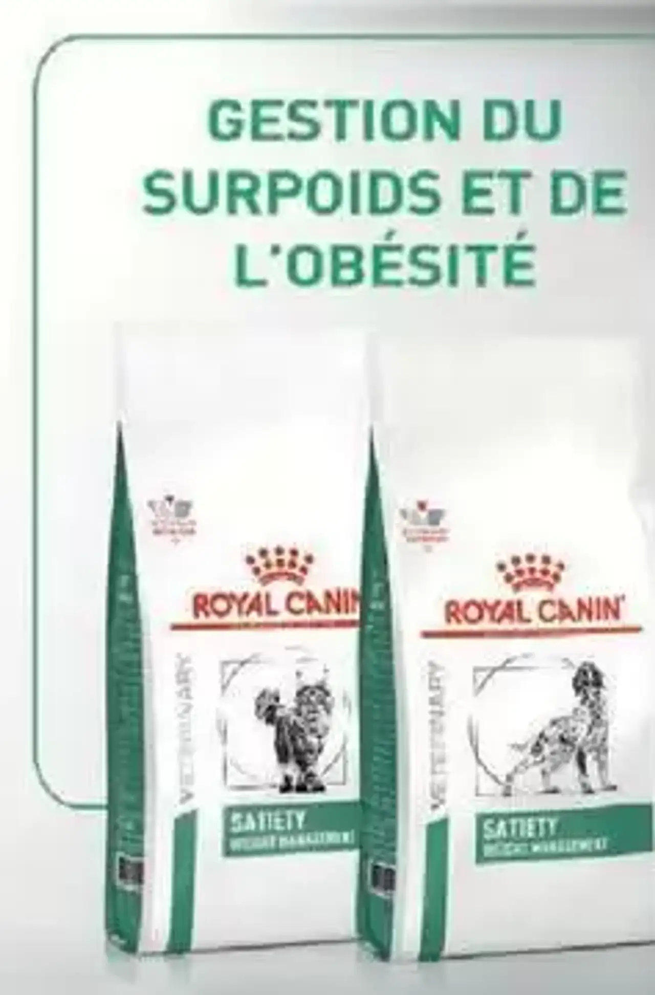Aliments diététiques pour gestion du surpoids et de l'obésité Royal Canin Veterinary