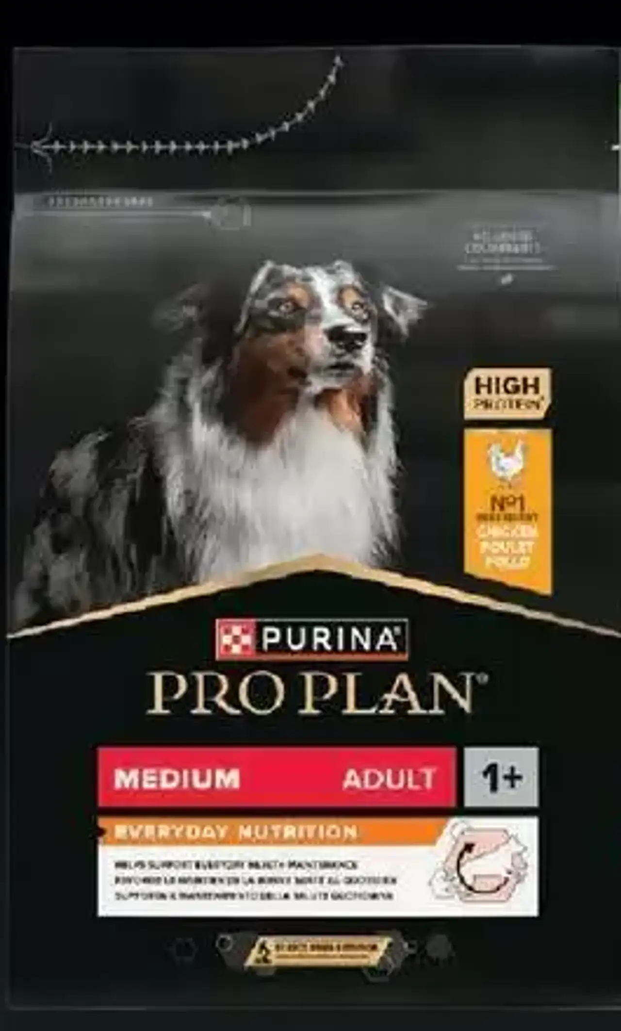 Purina Pro Plan Medium Adult 1+ Everyday Nutrition