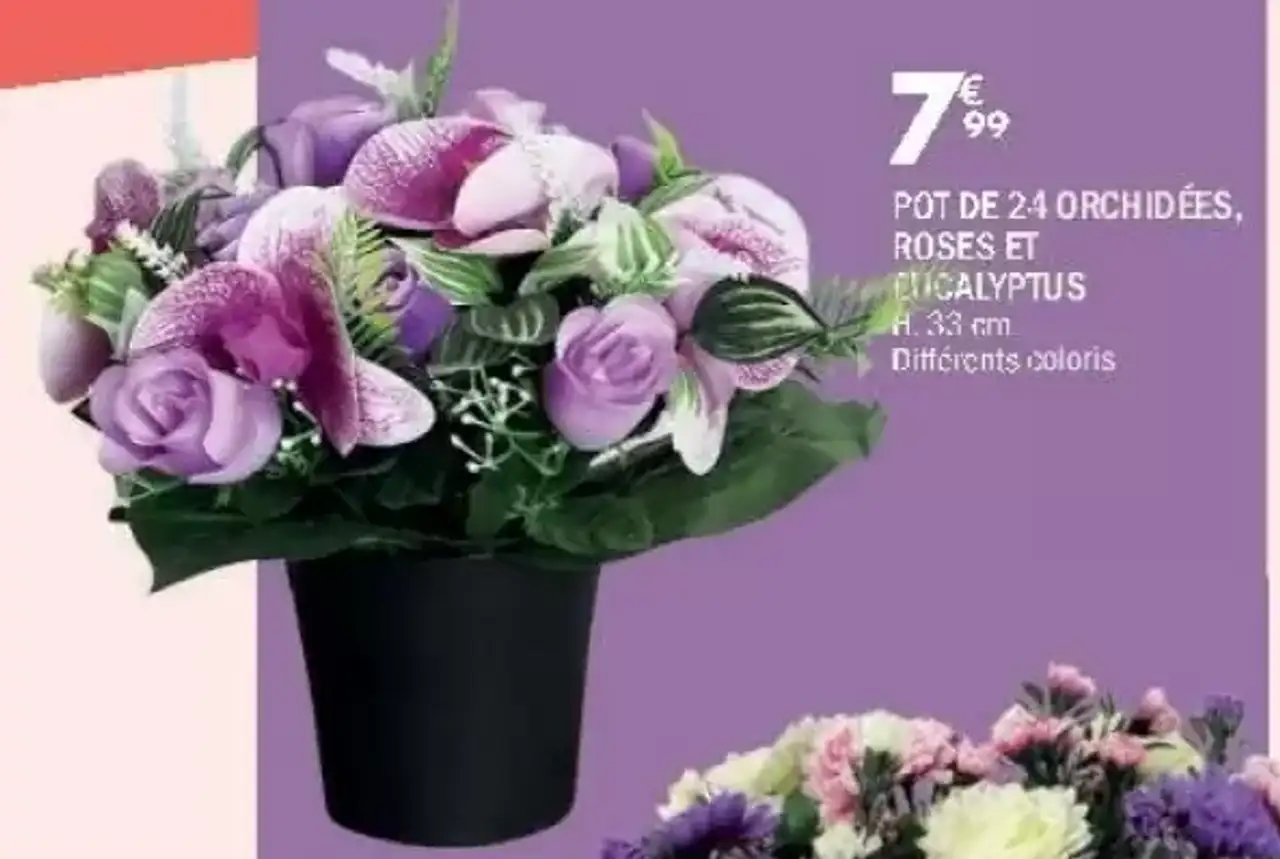 Pot de 24 orchidées, roses et eucalyptus