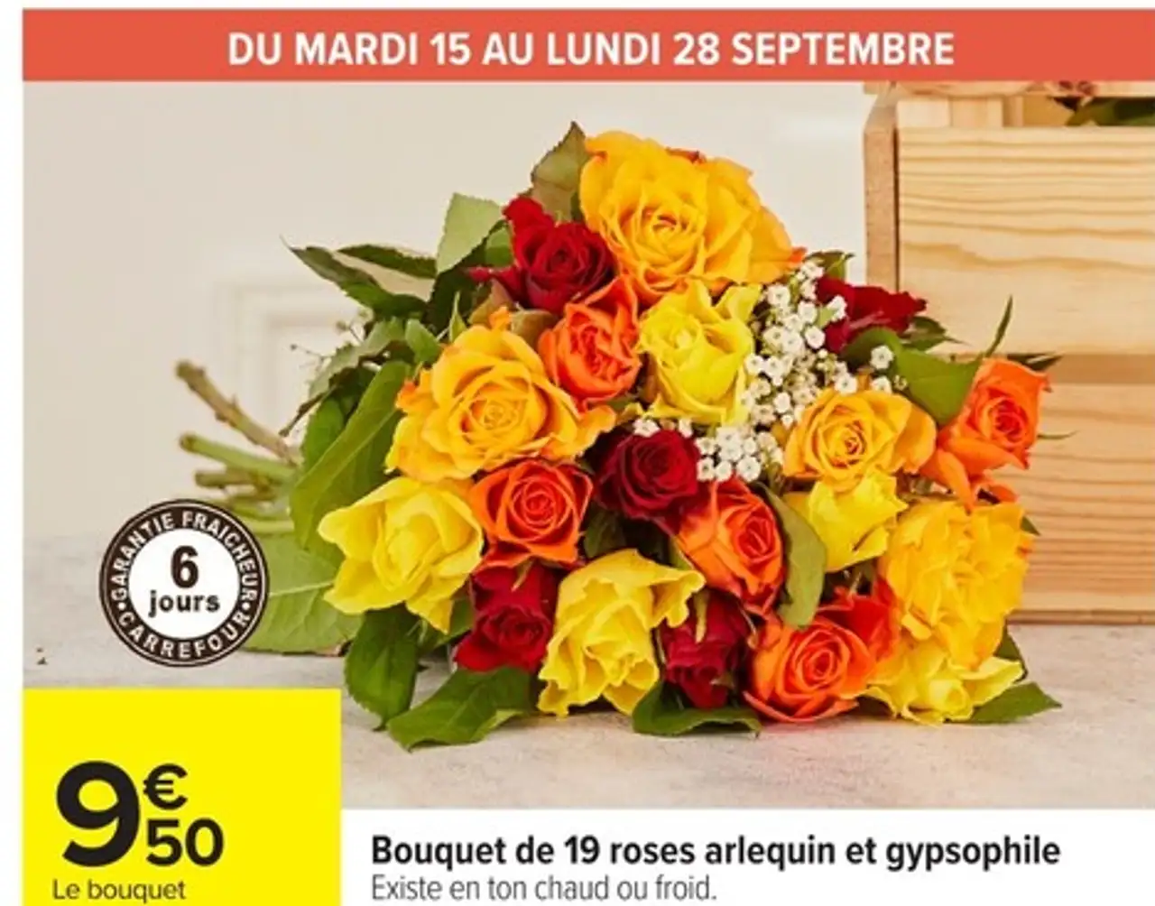 Bouquet de 19 roses arlequin et gypsophile