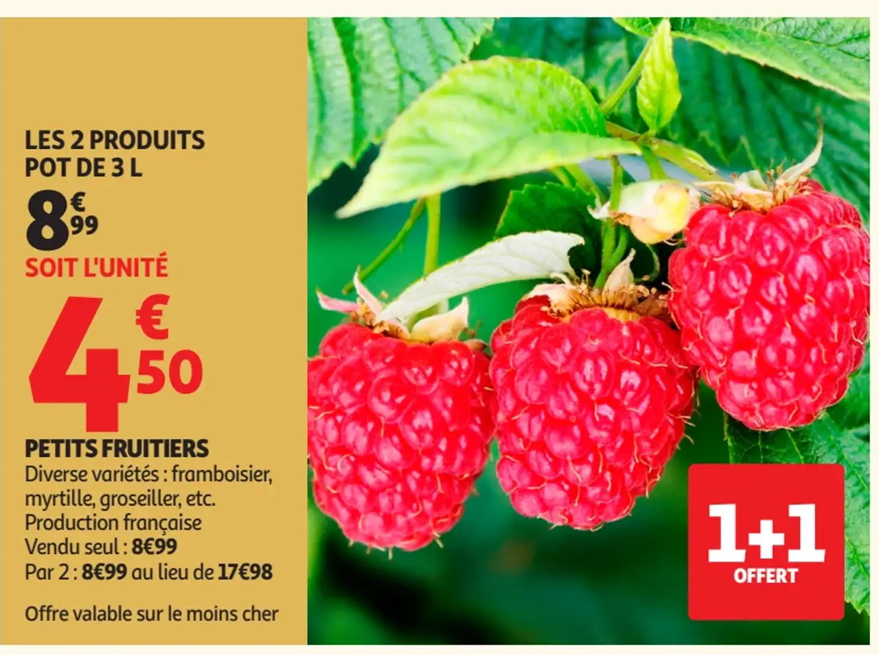 Petits fruitiers (framboisier, myrtille, groseillier, etc.)