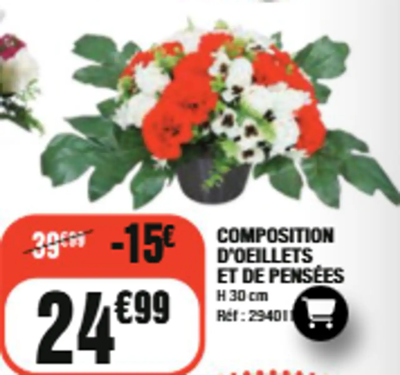 Composition d'oeillets et de pensées