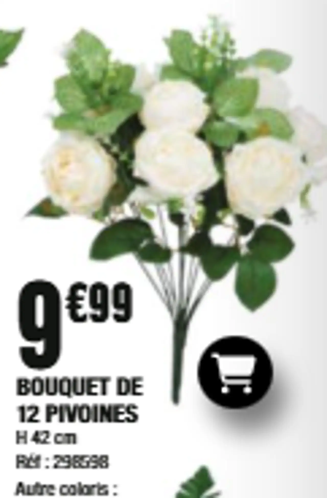 BOUQUET DE 12 PIVOINES