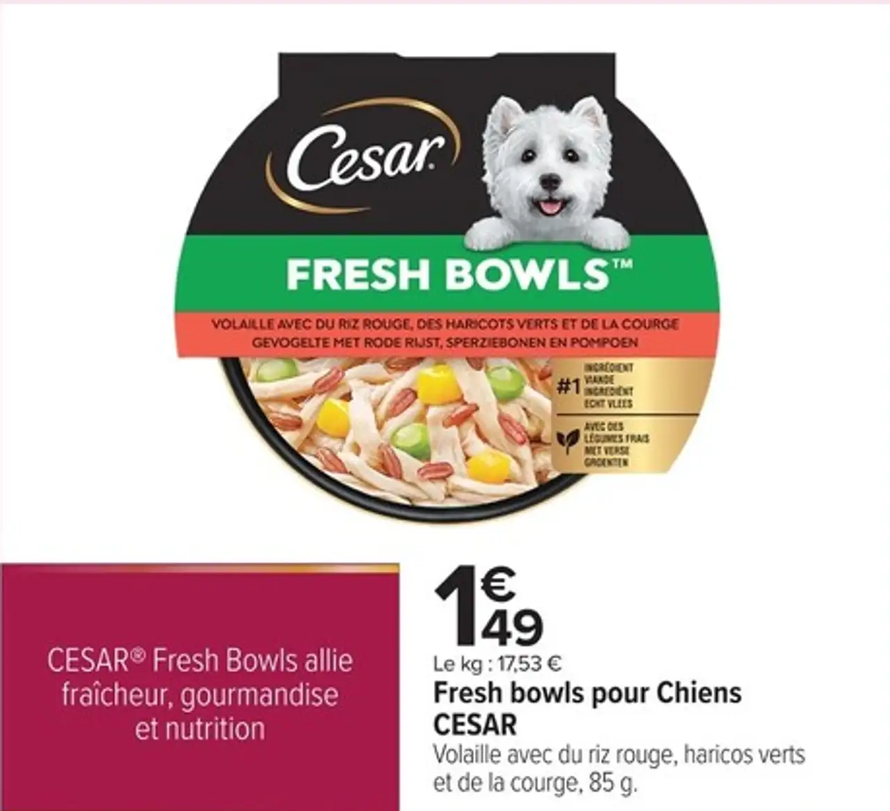 Fresh bowls pour Chiens Volaille avec du riz rouge, haricos verts et de la courge CESAR