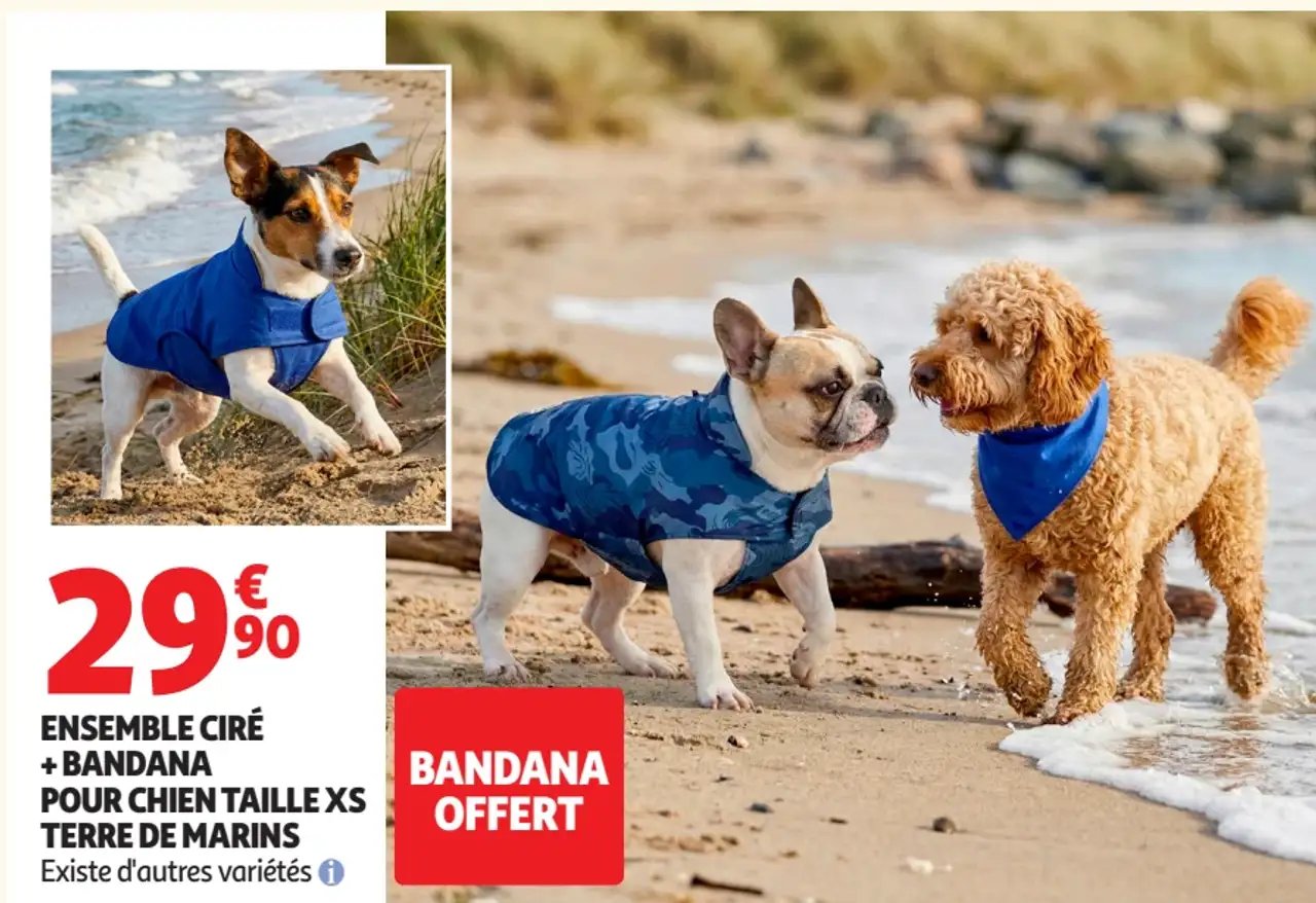 Ensemble ciré + bandana pour chien Terre de Marins