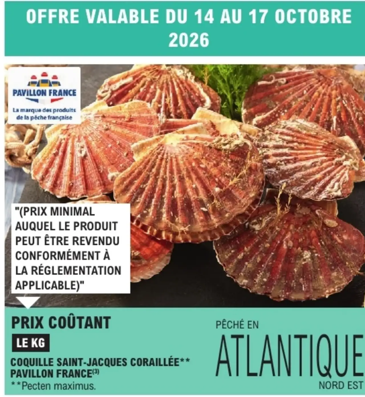 Coquille Saint-Jacques coraillée Pavillon France