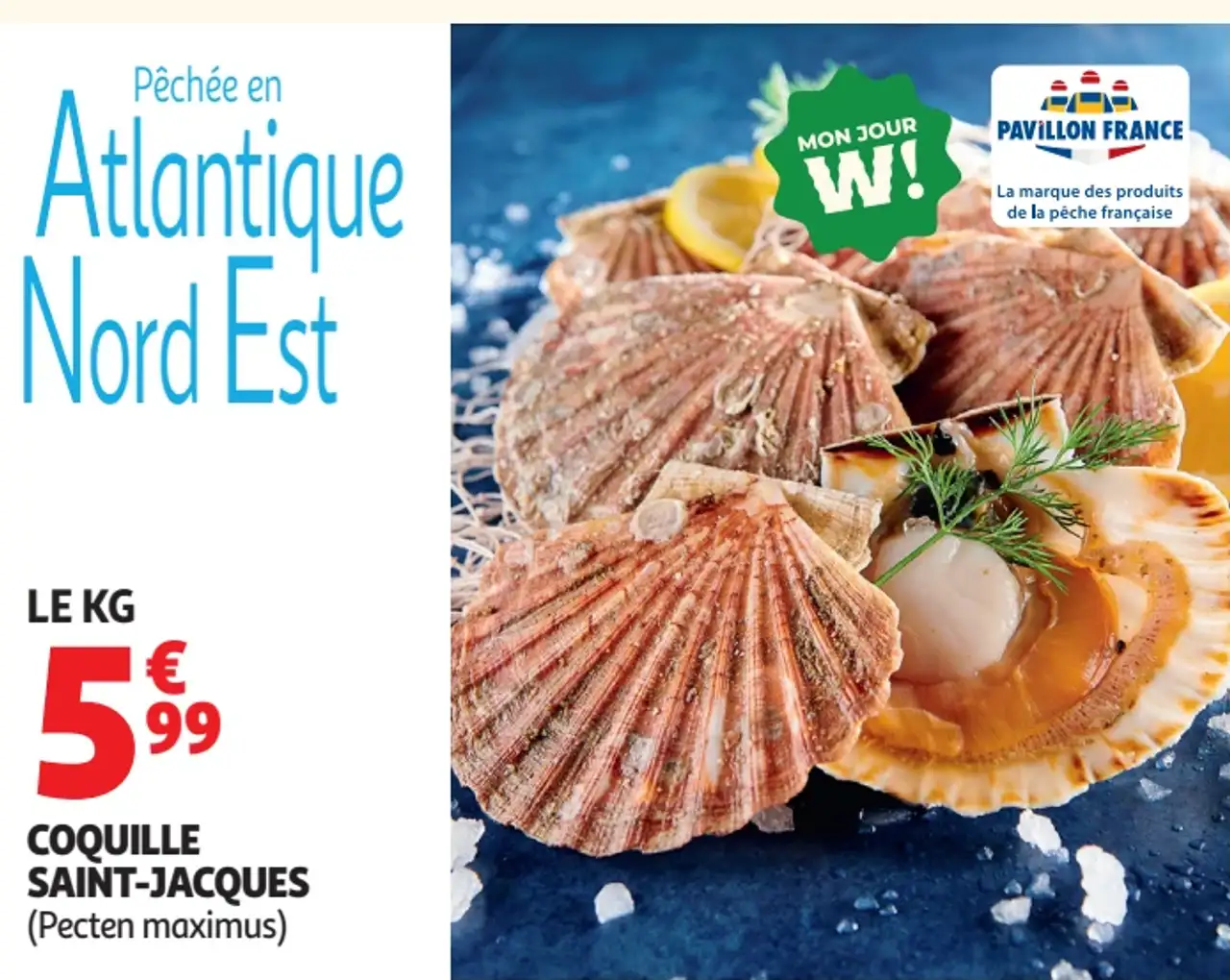 Coquille Saint-Jacques pêchée en Atlantique Nord Est
