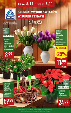 newspaper - Spożywcze - Aldi