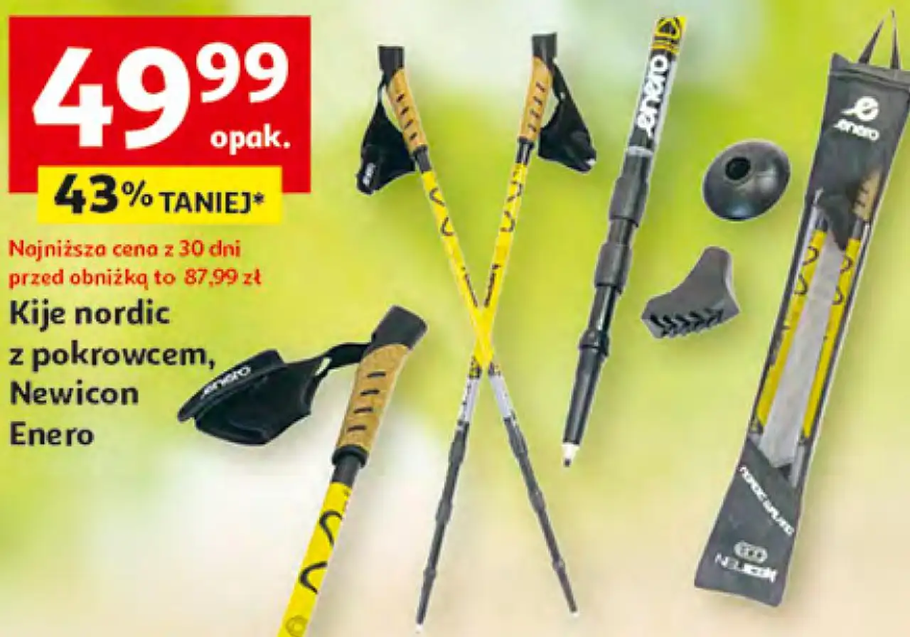 Kije nordic z pokrowcem, Newicon Enero