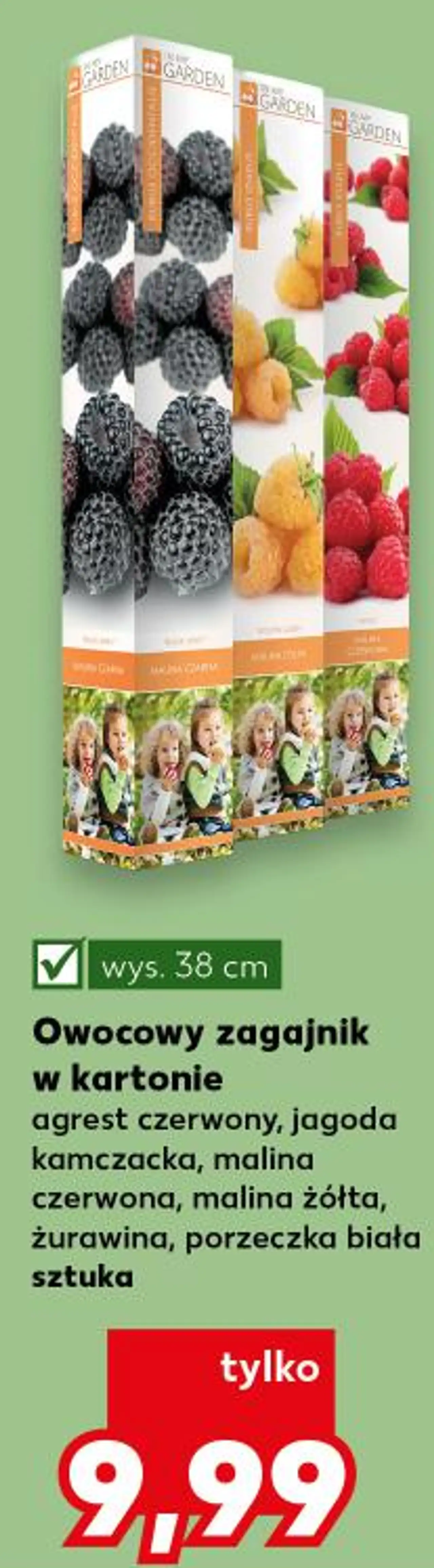Owocowy zagajnik w kartonie agrest czerwony, jagoda kamczacka, malina czerwona, malina żółta, żurawina, porzeczka biała