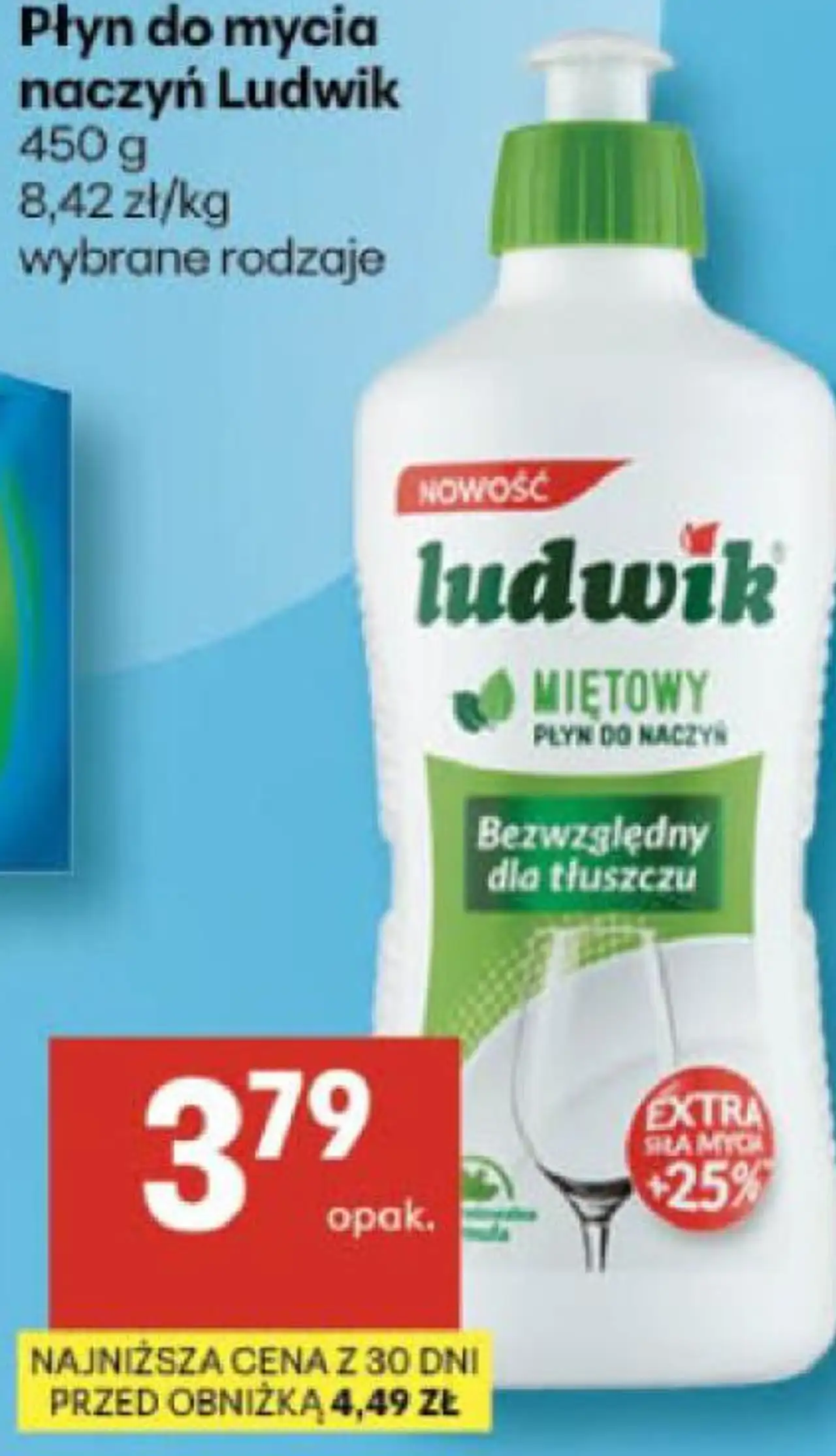 Płyn do mycia naczyń Ludwik