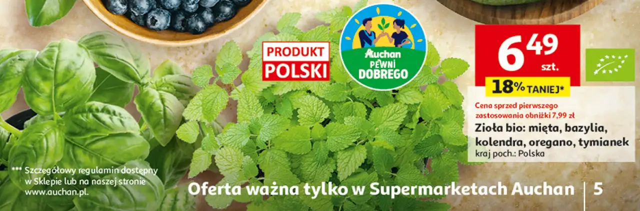 Zioła bio: mięta, bazylia, kolendra, oregano, tymianek