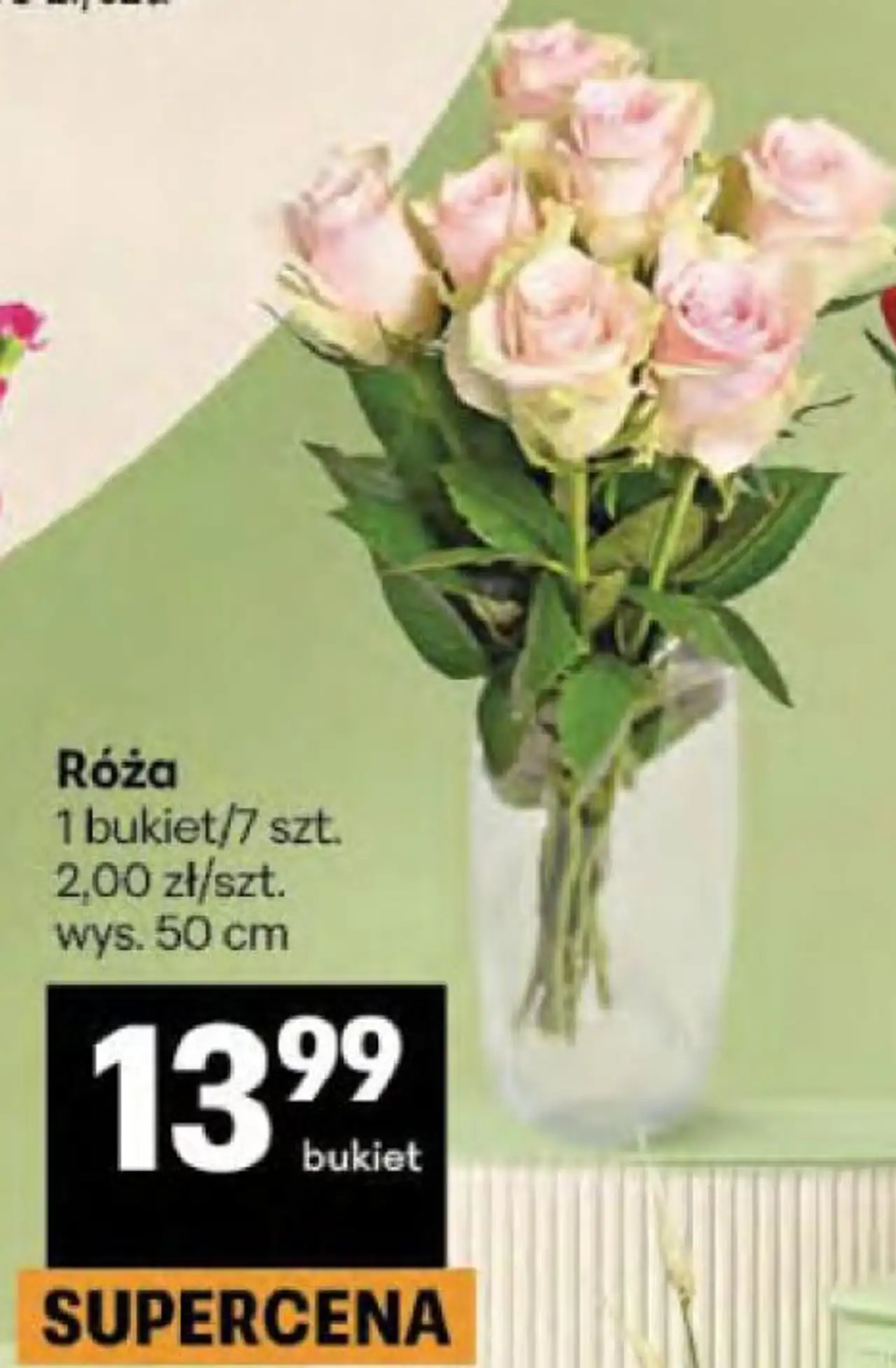 Róża 1 bukiet/7 szt.