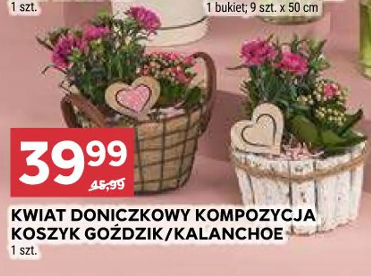 KWIAT DONICZKOWY KOMPOZYCJA KOSZYK GOŹDZIK/KALANCHOE 1 szt.