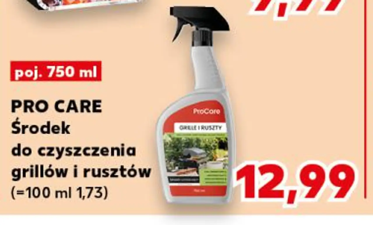 PRO CARE Środek do czyszczenia grillów i rusztów