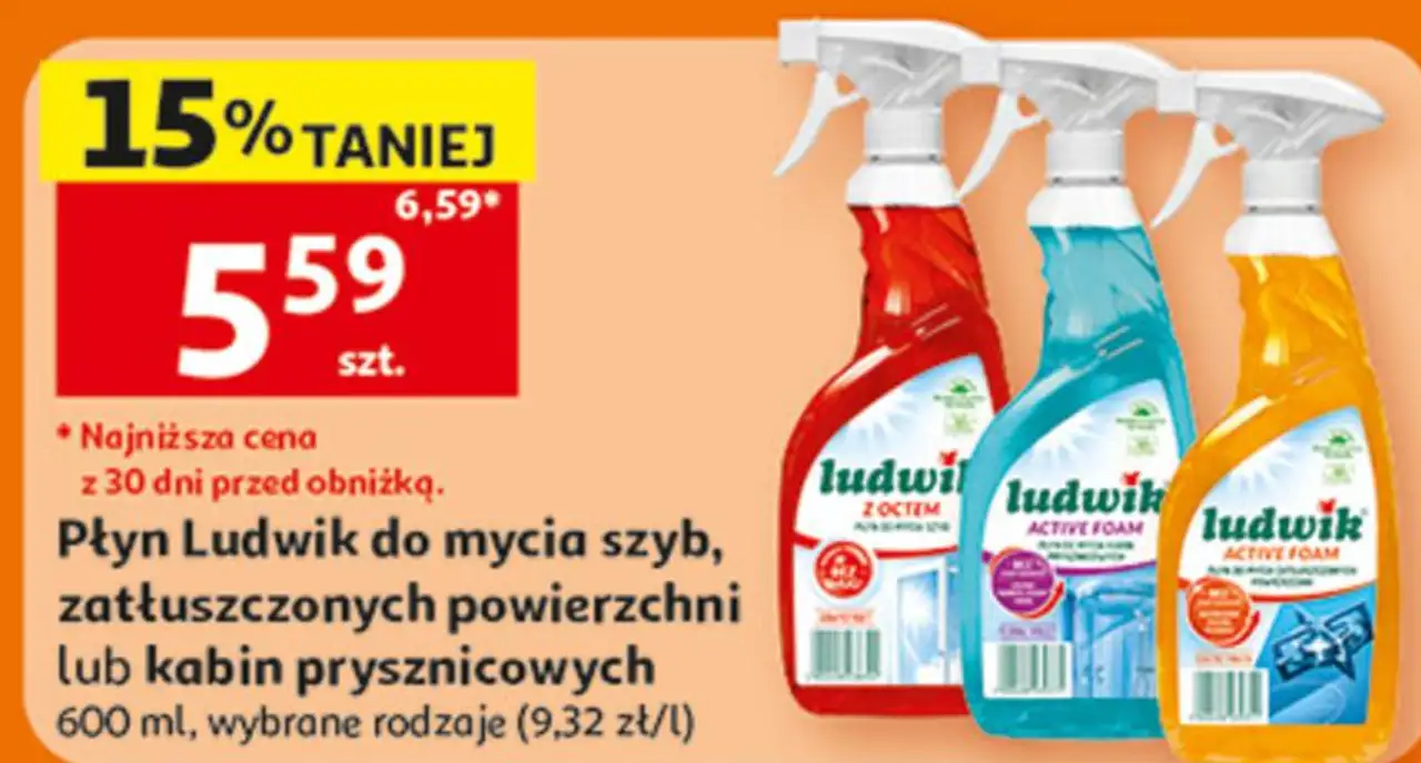 Ludwik Płyn do mycia szyb, zatłuszczonych powierzchni lub kabin prysznicowych