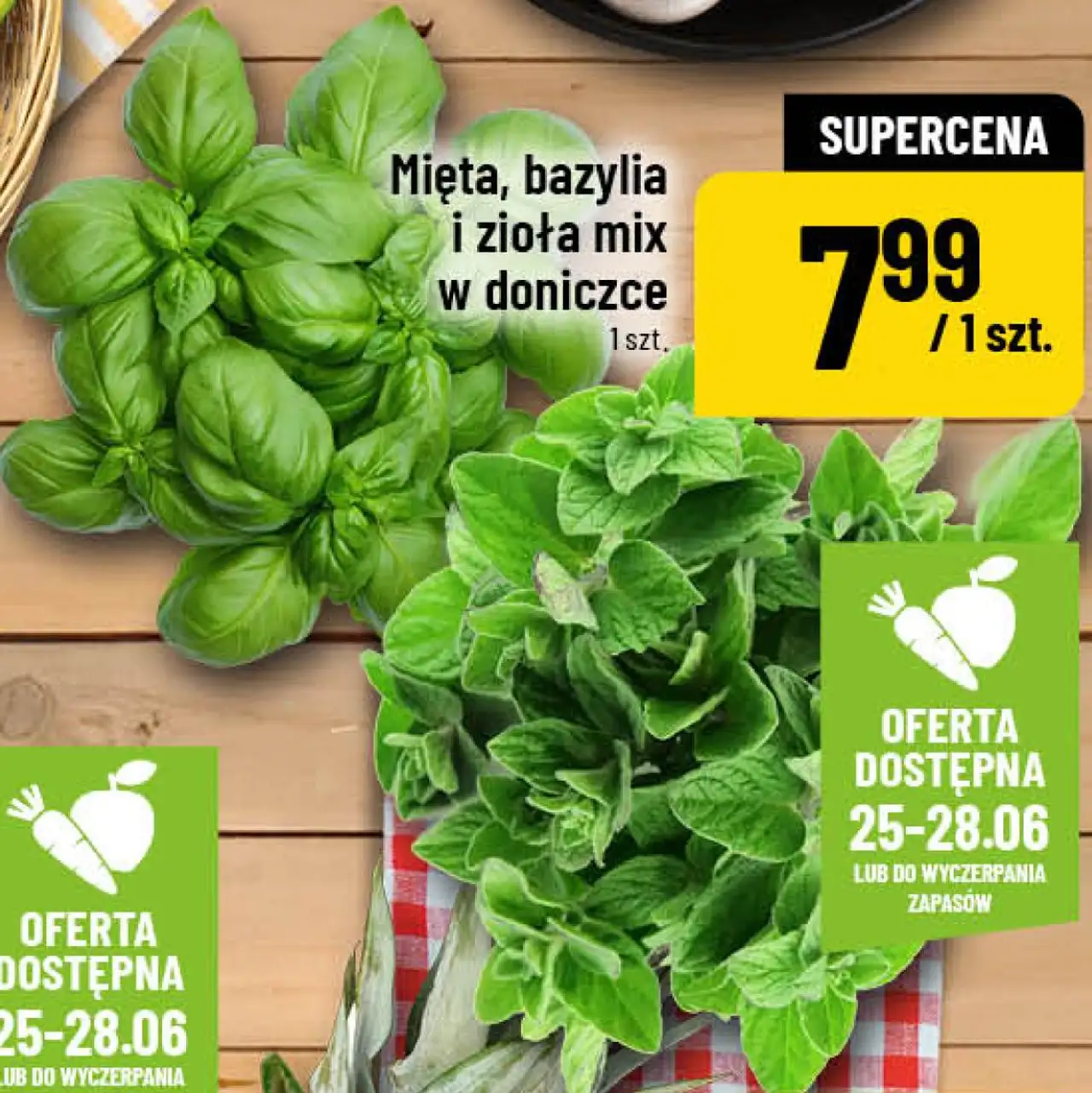 Mięta, bazylia i zioła mix w doniczce