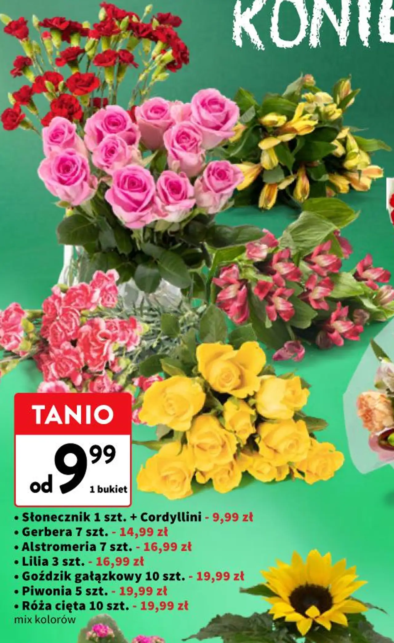 Kwiaty cięte (Słonecznik, Gerbera, Alstromeria, Lilia, Goździk, Piwonia, Róża)