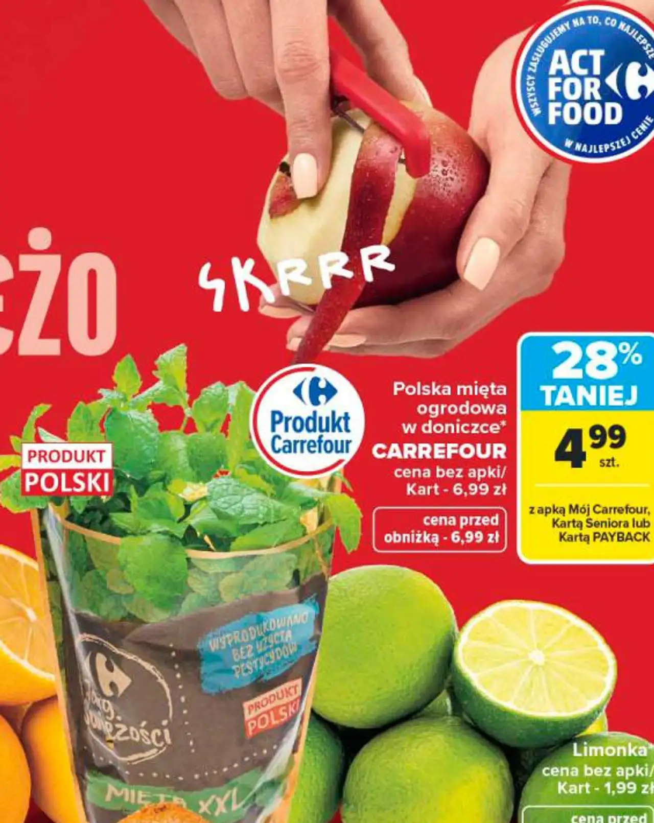 Polska mięta ogrodowa w doniczce CARREFOUR