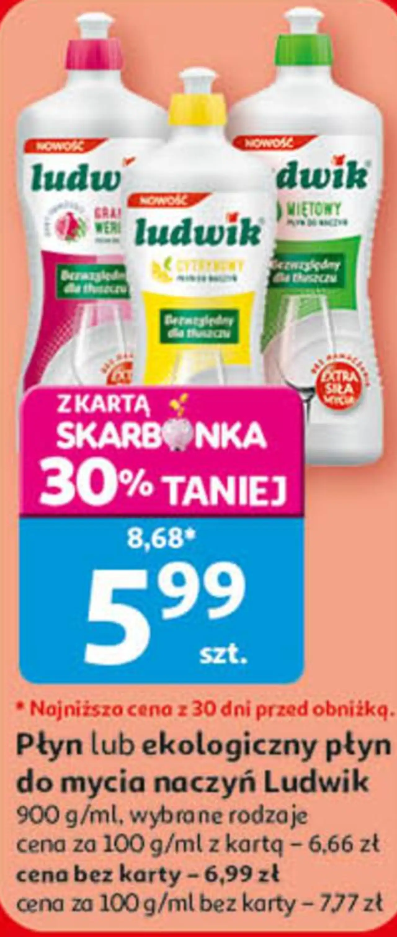 Płyn lub ekologiczny płyn do mycia naczyń Ludwik