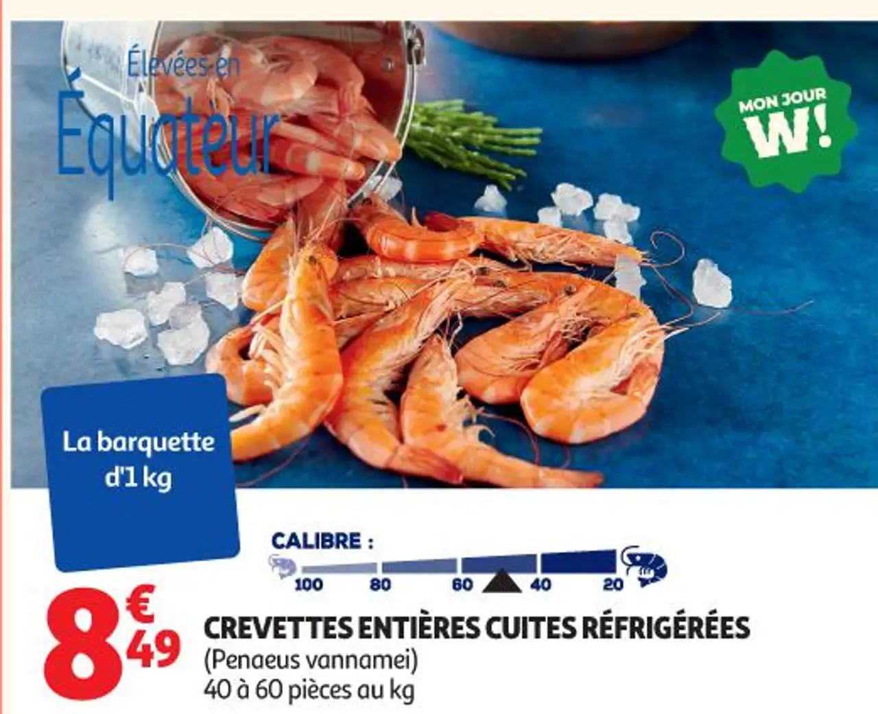 CREVETTES ENTIÈRES CUITES RÉFRIGÉRÉES