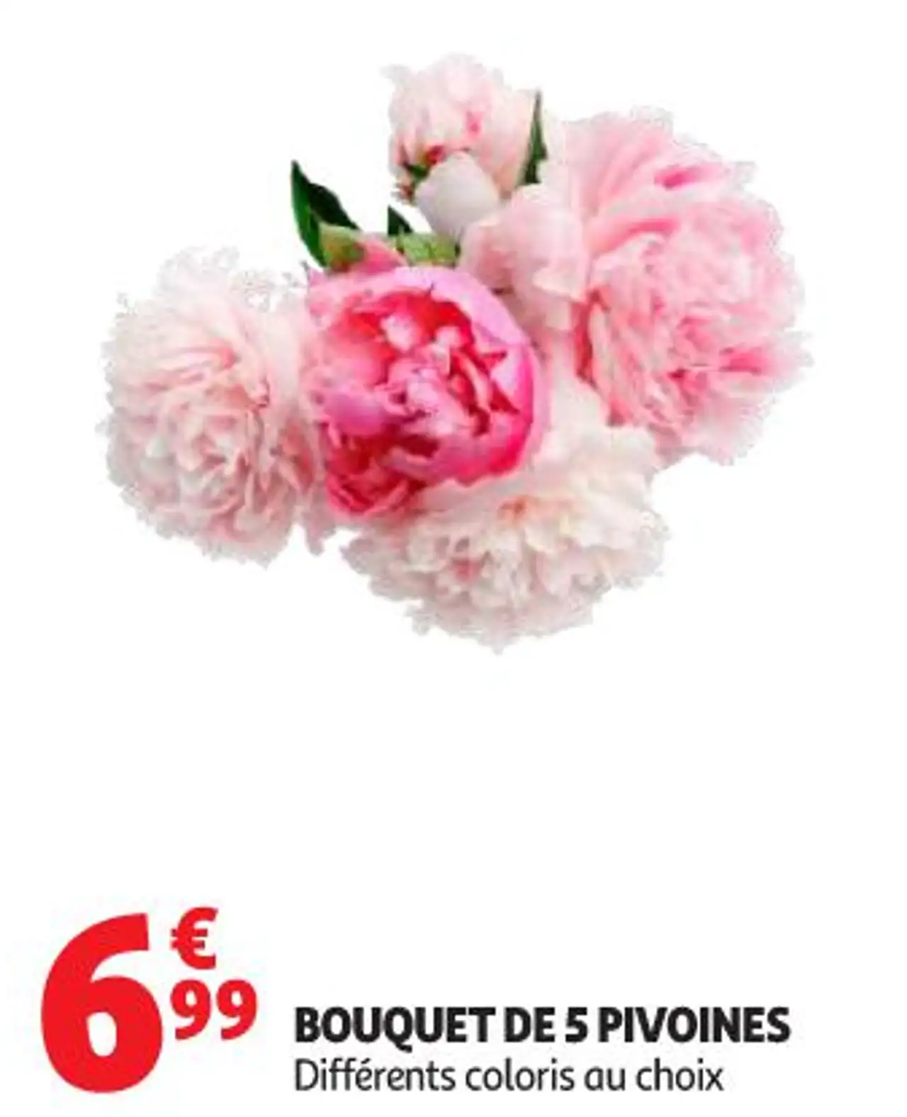 Bouquet de 5 pivoines