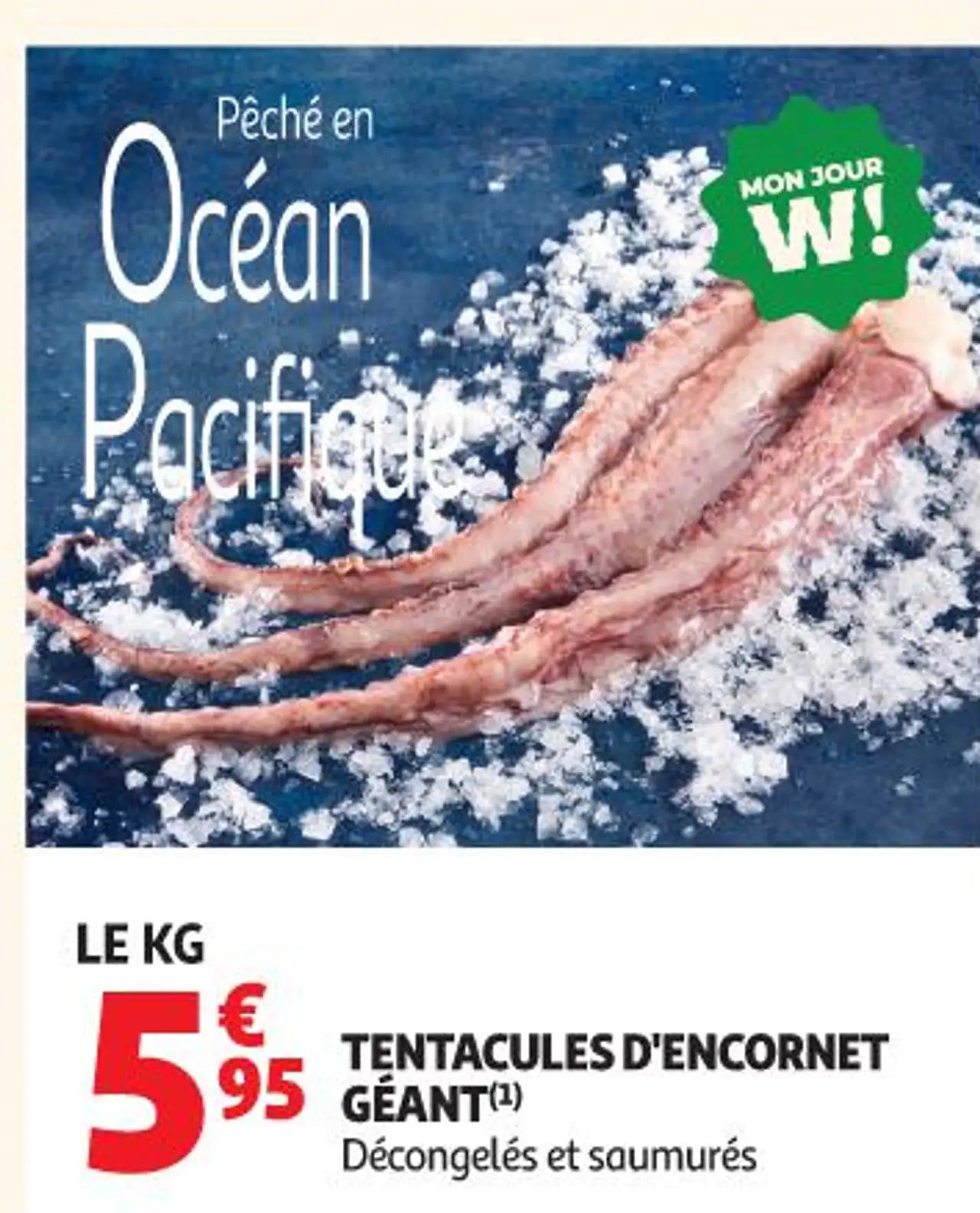 TENTACULES D'ENCORNET GÉANT