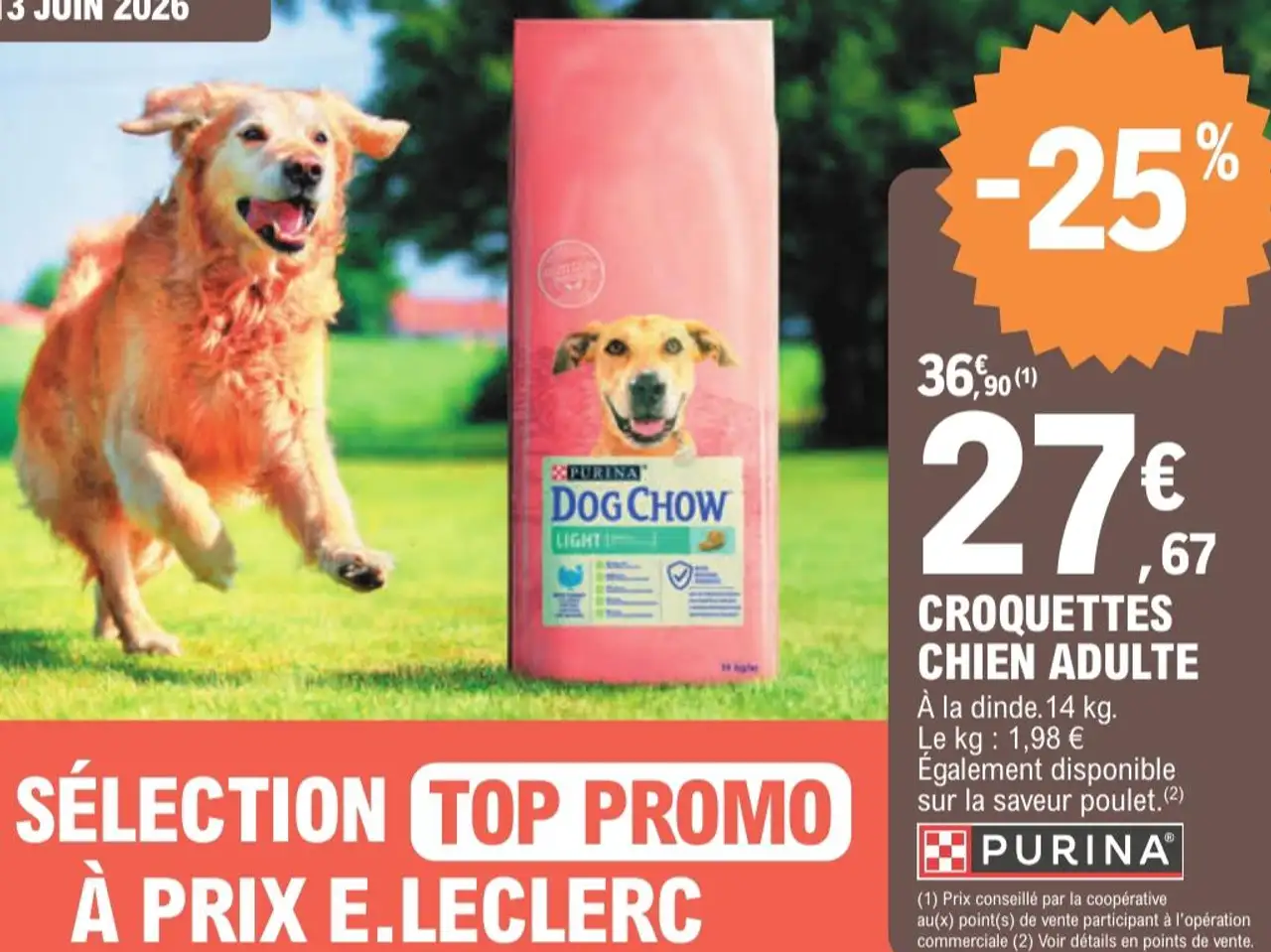 Purina Dog Chow Croquettes Chien Adulte