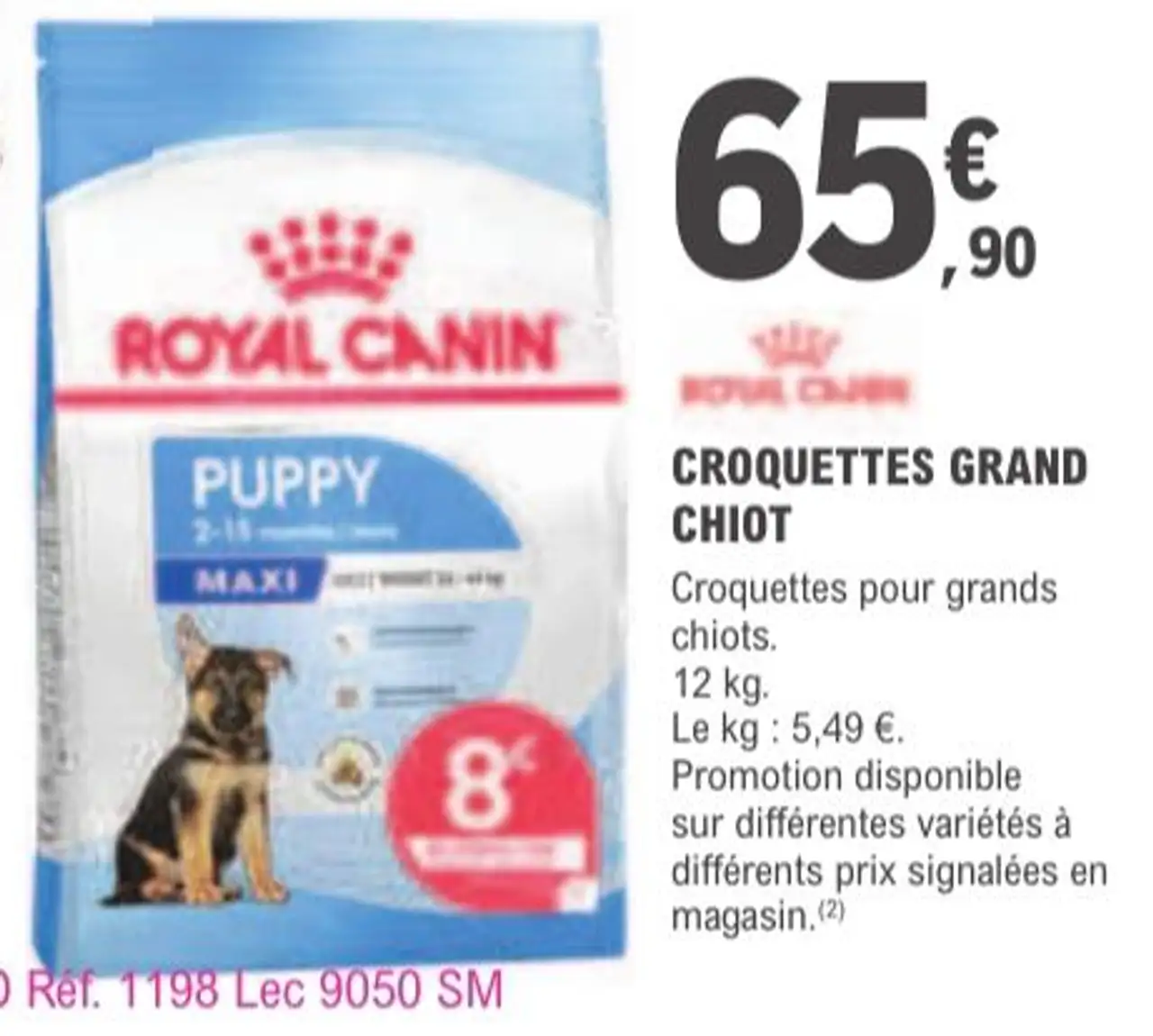 ROYAL CANIN CROQUETTES GRAND CHIOT