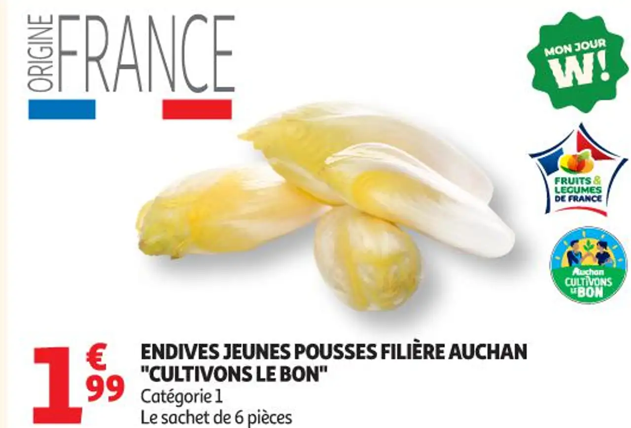 Endives jeunes pousses filière Auchan "Cultivons le bon"