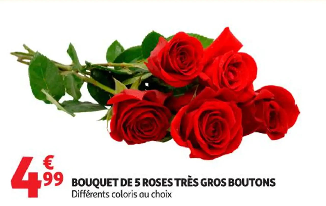 Bouquet de 5 roses très gros boutons