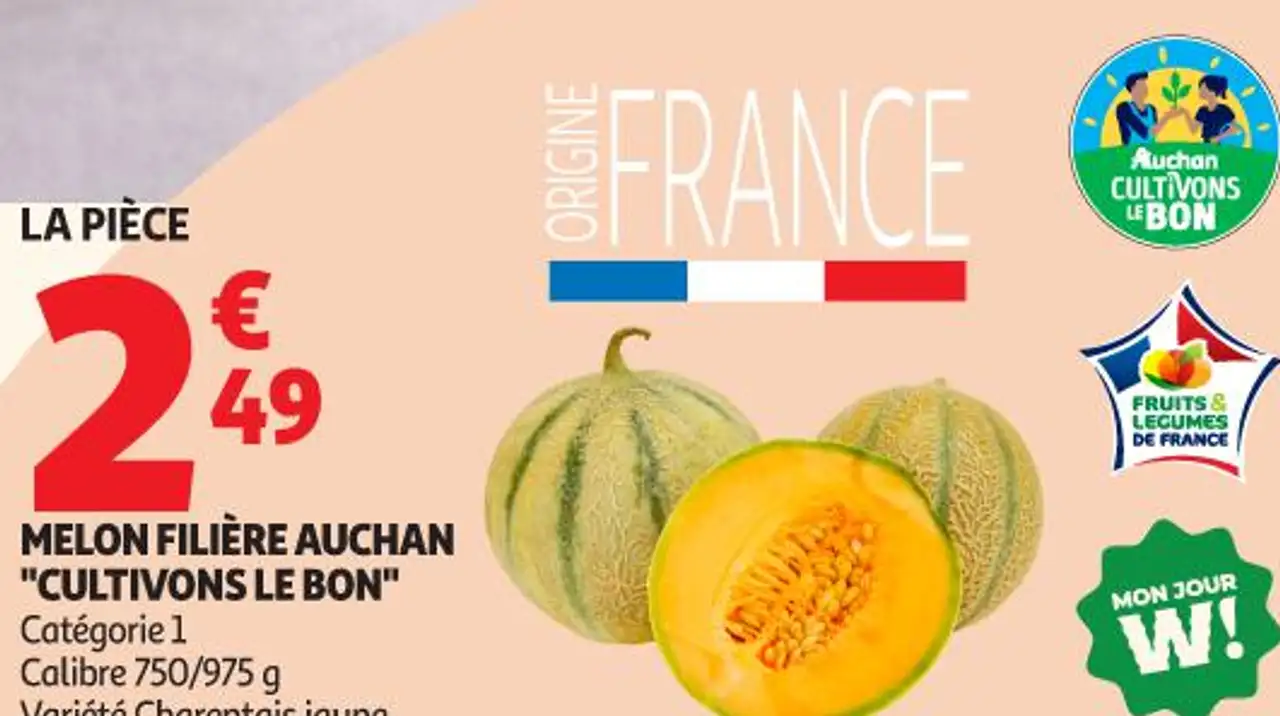 Melon Filière Auchan "Cultivons le bon"